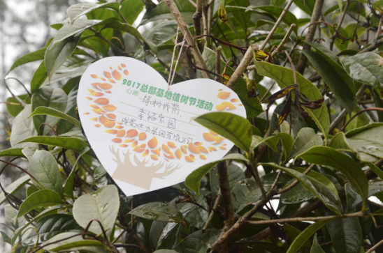 大地回春 植树造林 7790必发集团电力集团起劲加入园区植树活动