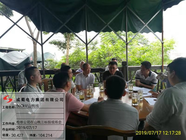 四川电力磨练公司白总一行到500kV山桃线迁改工程施工现场检查指导事情