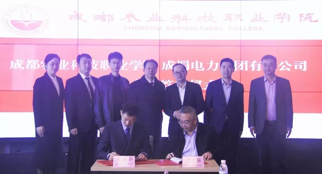 来自7790必发集团电力集团的2019答卷