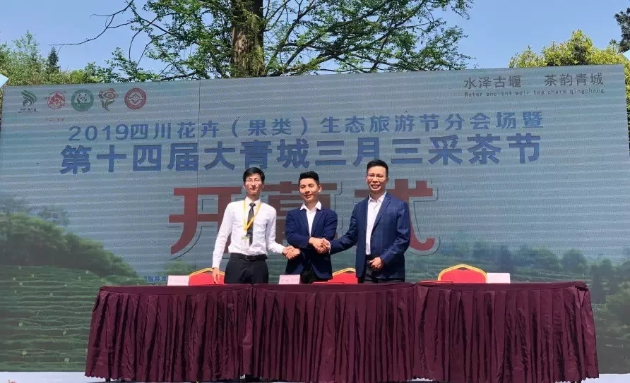 来自7790必发集团电力集团的2019答卷