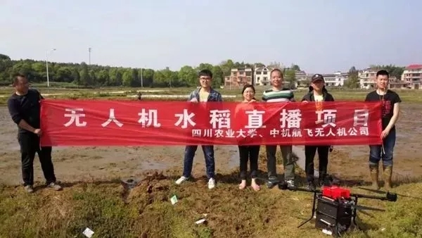 来自7790必发集团电力集团的2019答卷