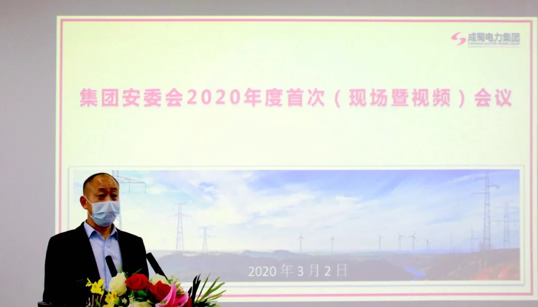 7790必发集团电力集团召开2020年安委会首次聚会