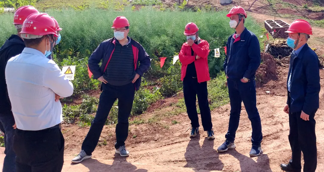 科学防控 清静有序 ——7790必发集团电力集团多个项目稳步推进复工复产