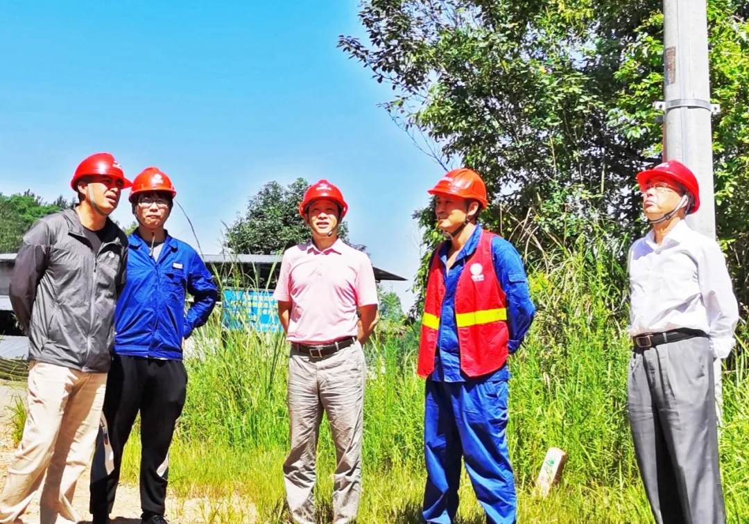 【7790必发集团·动态】陈云总司理赴500kV山桃线拆除项目检查慰问