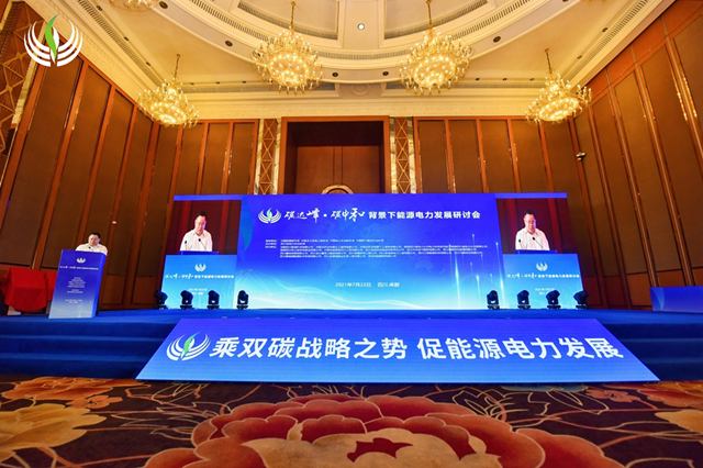 陈云出席碳达峰·碳中和配景下能源电力生长钻研会暨天下电力（工程）企业协会第十一届年会