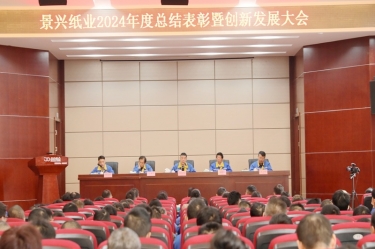 乘风破浪 逐梦前行 | 凯发K8国际纸业2024年度总结表扬暨立异开展大会盛大召开